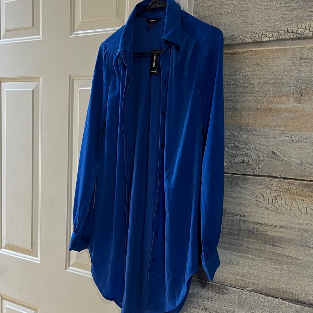 Express Women’s Blue Button Down Shirt